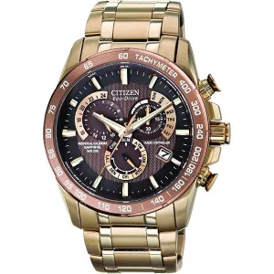 Citizen Men's Perpetual Watch