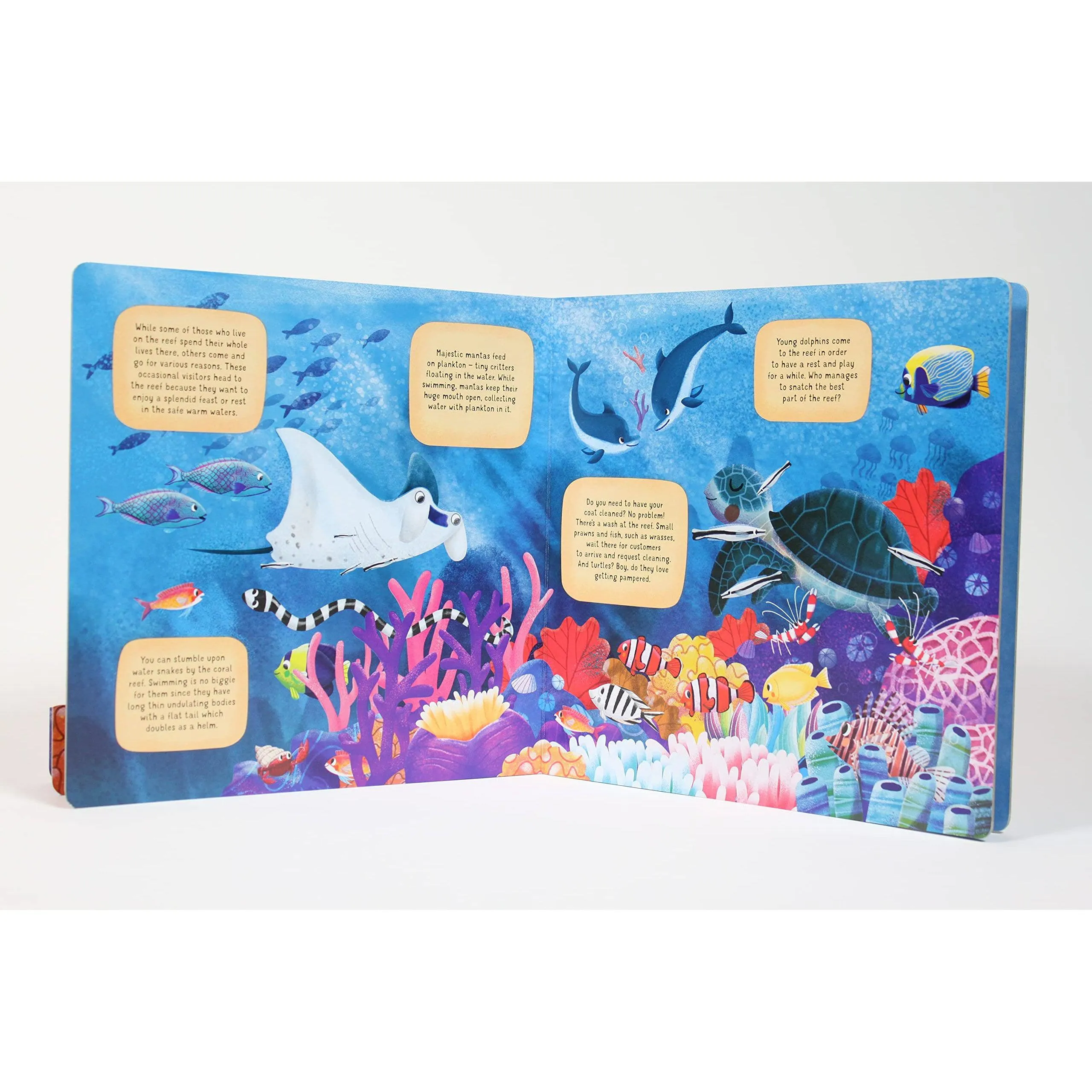 Discovering The Secret World Coral Reef