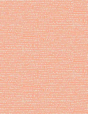 Moonscape - Coral