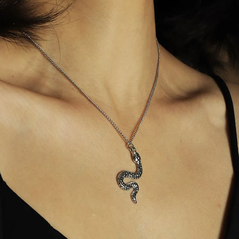 N1223 Silver Snake Necklace with FREE Earrings