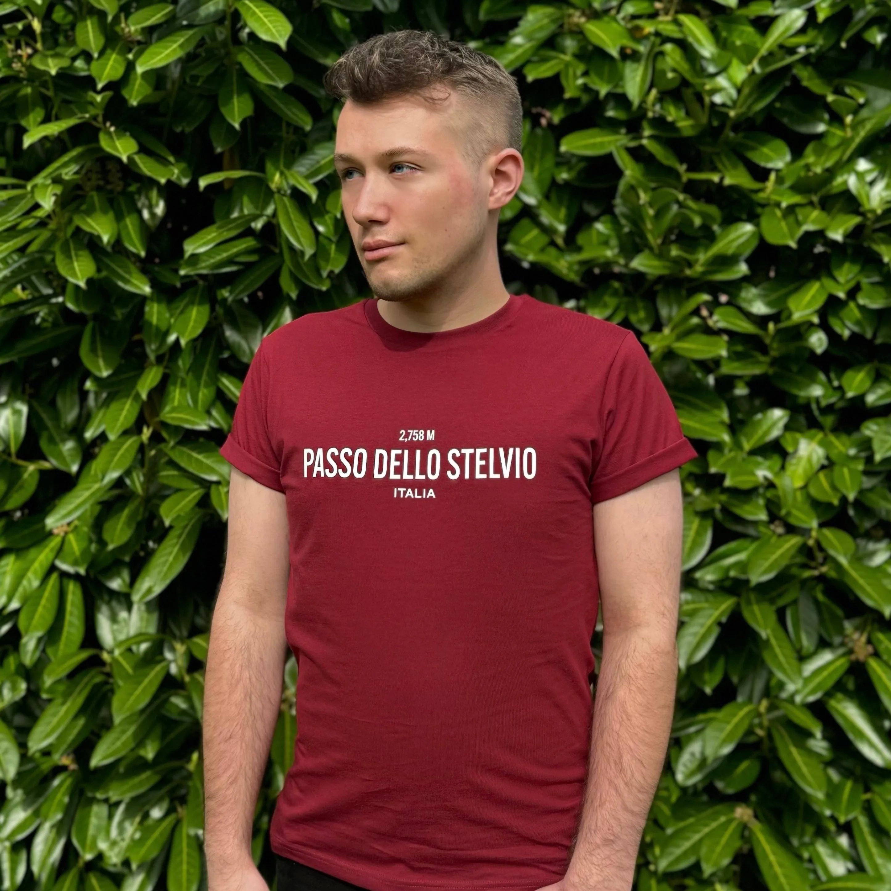Passo dello Stelvio T-shirt