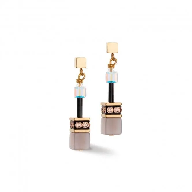 Stainless Steel Crystal Brown Earrings 4905/21-1100