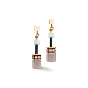 Stainless Steel Crystal Brown Earrings 4905/21-1100