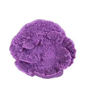 Weco Products South Pacific Coral Capricornis Ornament - Lavender